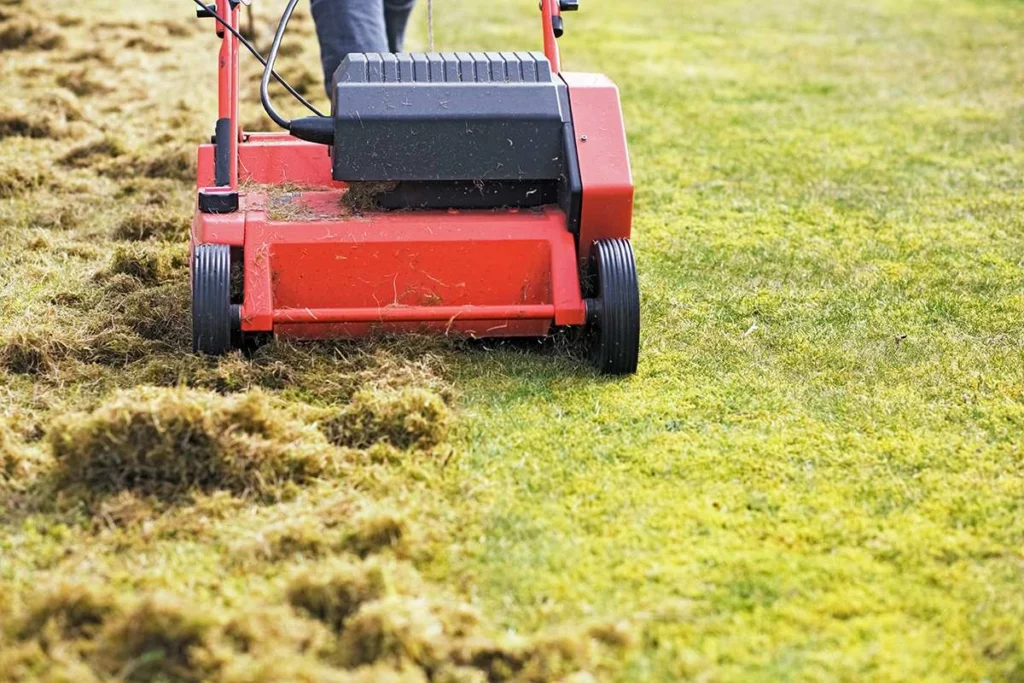 Lawn care service in action with a red dethatching machine removing thatch from grass, emphasizing professional lawn maintenance by Next Level Outdoor Services in Sioux Falls, SD.
