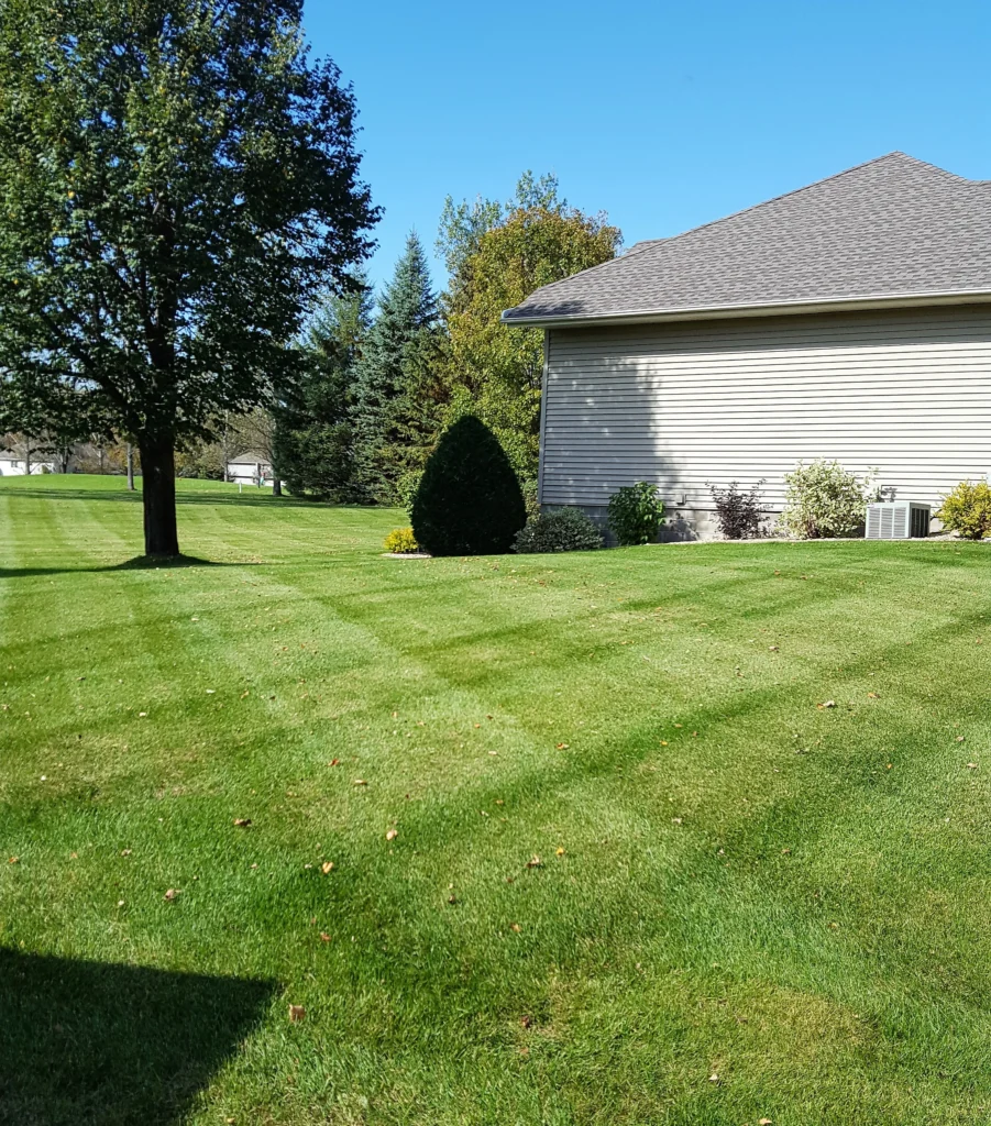 Lush, well-maintained lawn with striped mowing pattern, featuring trees and shrubs alongside a residential home in Sioux Falls, SD, highlighting professional lawn care services.